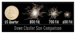 cluster-size