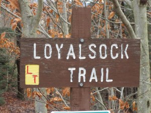 Loyalsock Trail Pic